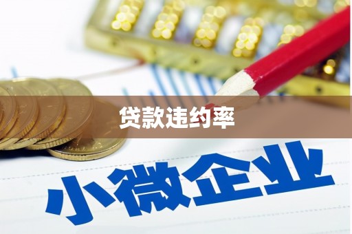 和田市贷款违约率