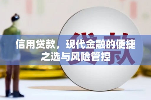 和田市信用贷款，现代金融的便捷之选与风险管控