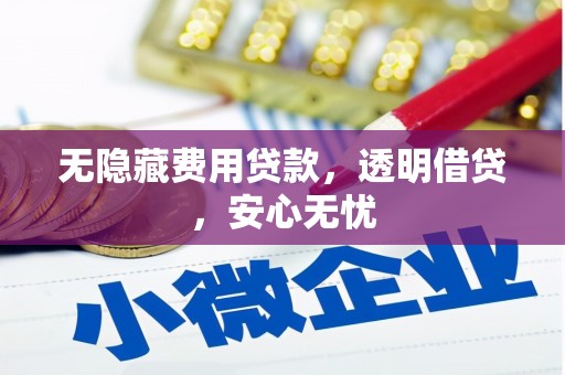 和田市无隐藏费用贷款，透明借贷，安心无忧