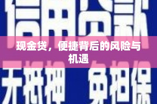 和田市现金贷，便捷背后的风险与机遇