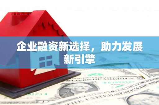和田市企业融资新选择，助力发展新引擎