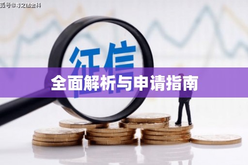 和田市全面解析与申请指南