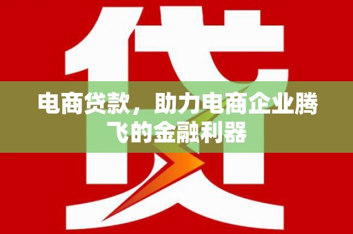 和田市电商贷款，助力电商企业腾飞的金融利器