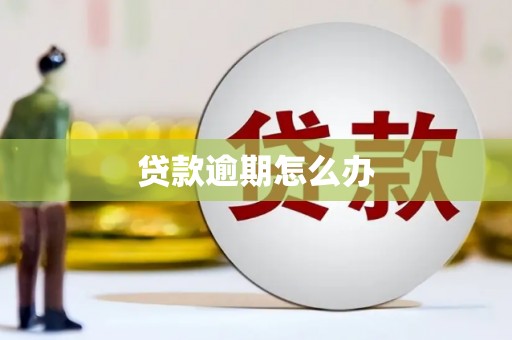 和田市贷款逾期怎么办