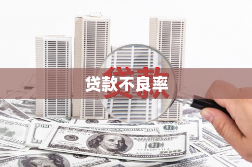 和田市贷款不良率