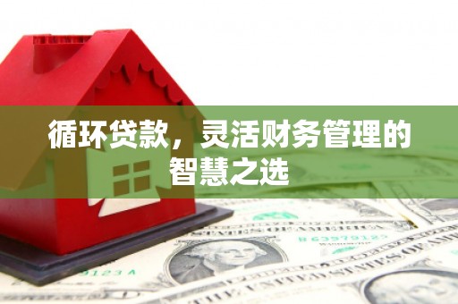 和田市循环贷款，灵活财务管理的智慧之选