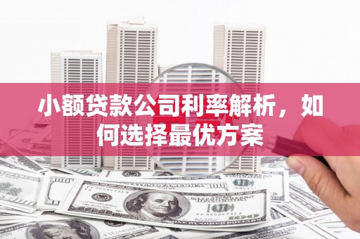 和田市小额贷款公司利率解析，如何选择最优方案