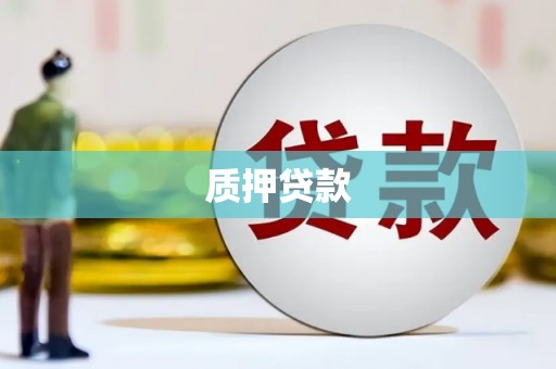 和田市质押贷款