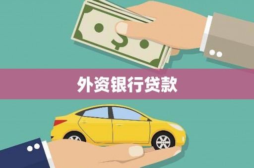 和田市外资银行贷款