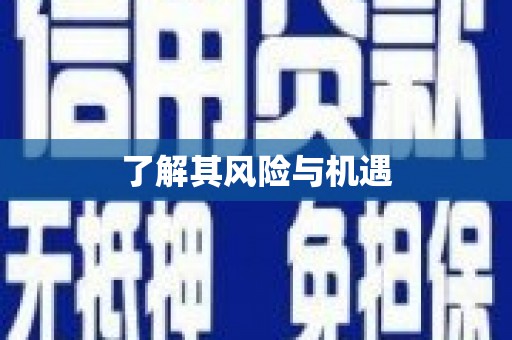 和田市了解其风险与机遇