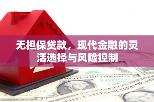 和田市无担保贷款，现代金融的灵活选择与风险控制