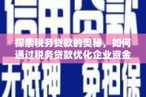 和田市探索税务贷款的奥秘，如何通过税务贷款优化企业资金流