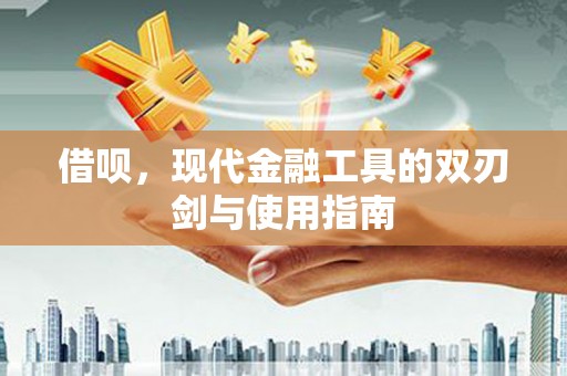 和田市借呗，现代金融工具的双刃剑与使用指南