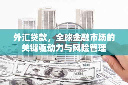 和田市外汇贷款，全球金融市场的关键驱动力与风险管理