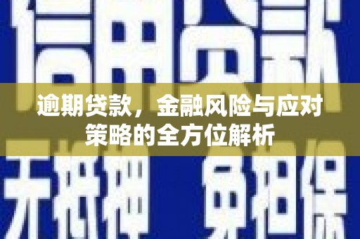 和田市逾期贷款，金融风险与应对策略的全方位解析