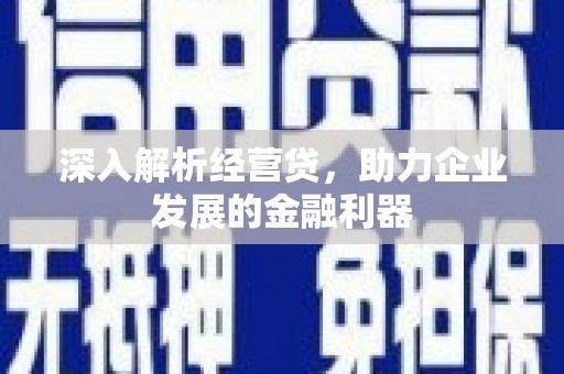 和田市深入解析经营贷，助力企业发展的金融利器
