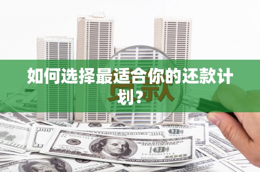 和田市如何选择最适合你的还款计划？