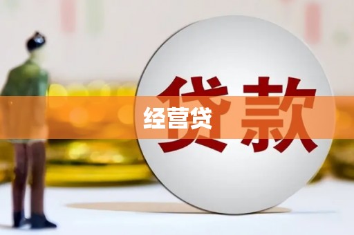和田市经营贷