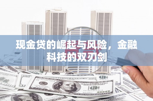 和田市现金贷的崛起与风险，金融科技的双刃剑