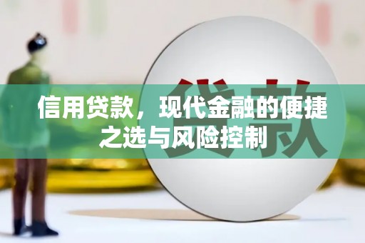 和田市信用贷款，现代金融的便捷之选与风险控制