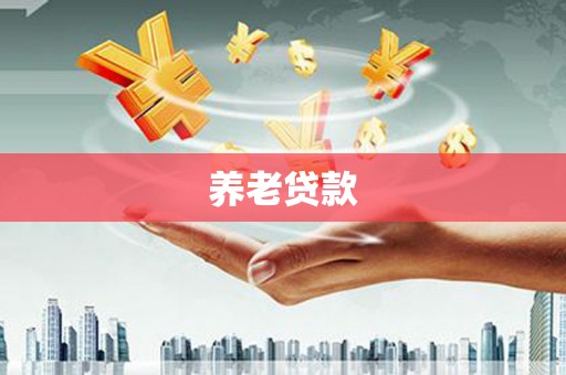 和田市养老贷款