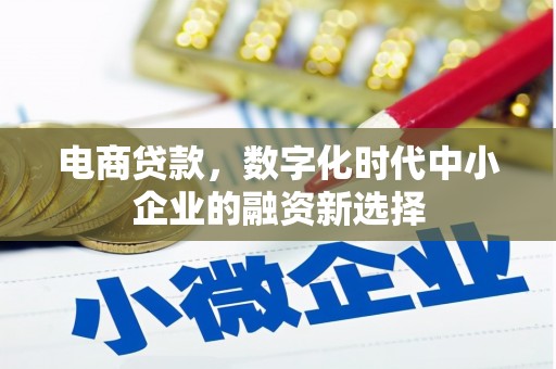 和田市电商贷款，数字化时代中小企业的融资新选择