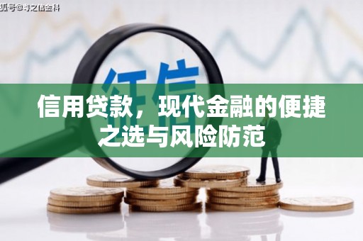 和田市信用贷款，现代金融的便捷之选与风险防范