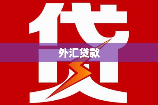 和田市外汇贷款