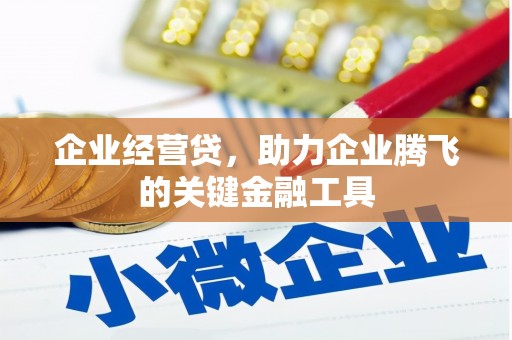 和田市企业经营贷，助力企业腾飞的关键金融工具
