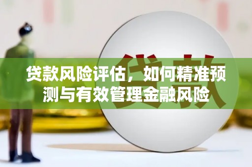 和田市贷款风险评估，如何精准预测与有效管理金融风险