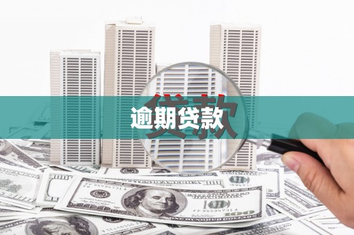 和田市逾期贷款