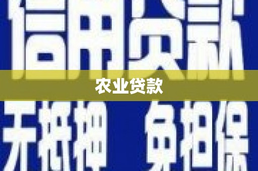 和田市农业贷款