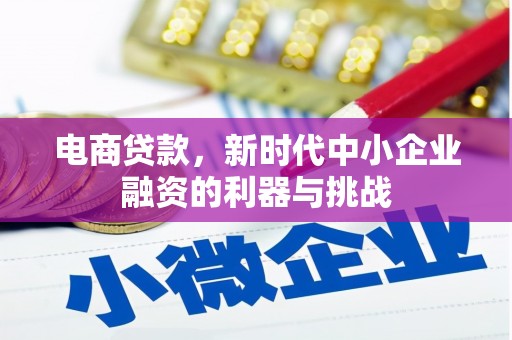 和田市电商贷款，新时代中小企业融资的利器与挑战