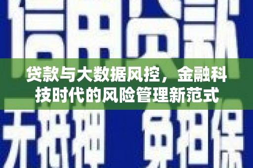 和田市贷款与大数据风控，金融科技时代的风险管理新范式