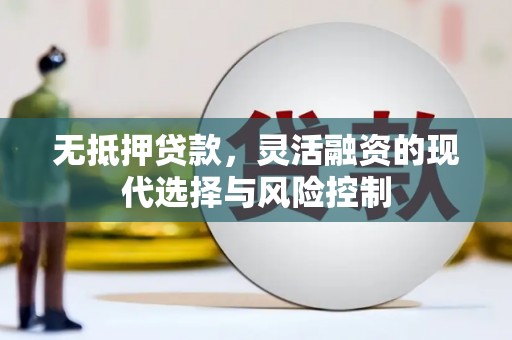 和田市无抵押贷款，灵活融资的现代选择与风险控制