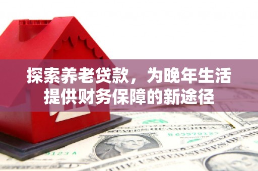 和田市探索养老贷款，为晚年生活提供财务保障的新途径