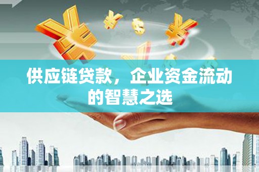 和田市供应链贷款，企业资金流动的智慧之选