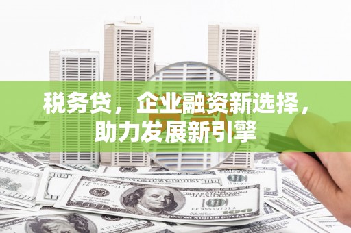 和田市税务贷，企业融资新选择，助力发展新引擎