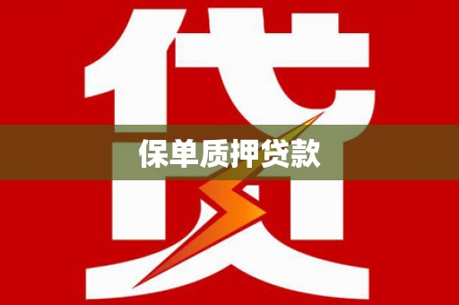 和田市保单质押贷款