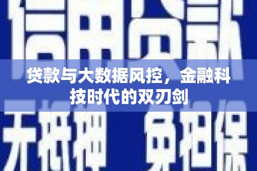和田市贷款与大数据风控，金融科技时代的双刃剑