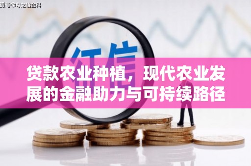 和田市贷款农业种植，现代农业发展的金融助力与可持续路径