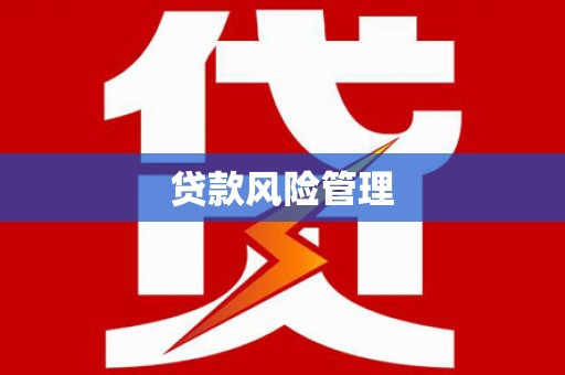 和田市贷款风险管理