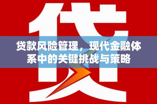 和田市贷款风险管理，现代金融体系中的关键挑战与策略