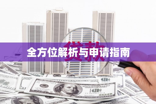 和田市全方位解析与申请指南