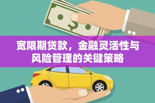 和田市宽限期贷款，金融灵活性与风险管理的关键策略