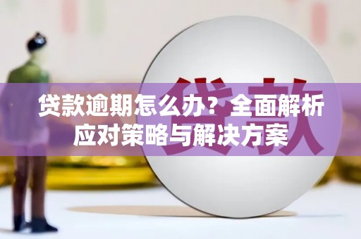 和田市贷款逾期怎么办？全面解析应对策略与解决方案