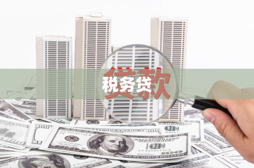 和田市税务贷