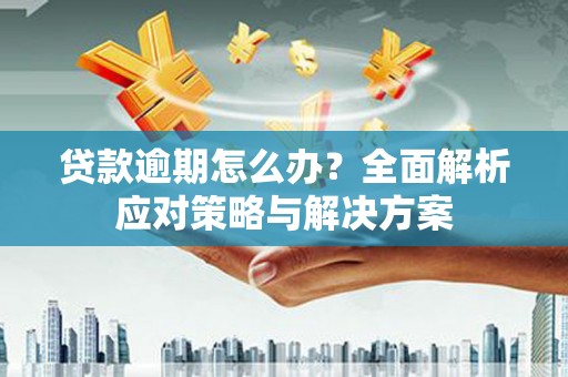 和田市贷款逾期怎么办？全面解析应对策略与解决方案