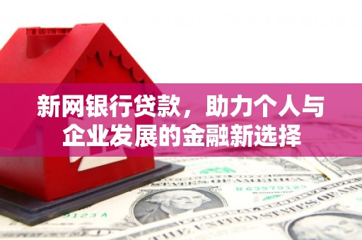 和田市新网银行贷款，助力个人与企业发展的金融新选择