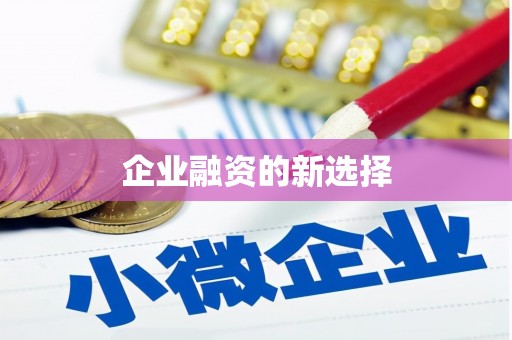和田市企业融资的新选择